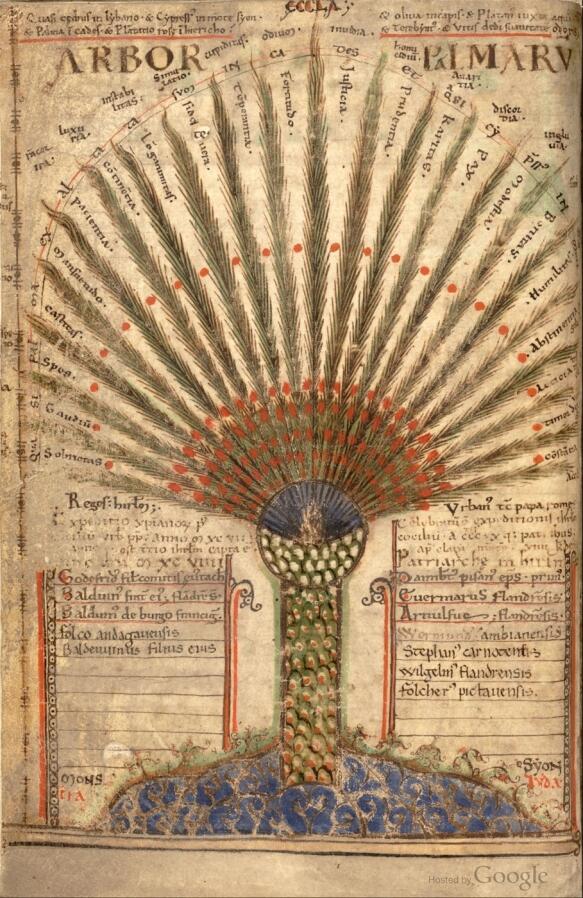 4 Palmier Liber Floridus 1120 P167 583 898 S C1 C C 0 0 1