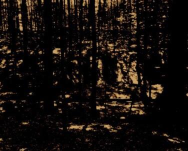 Artworks 000424063779 G4F3O0 T500X500