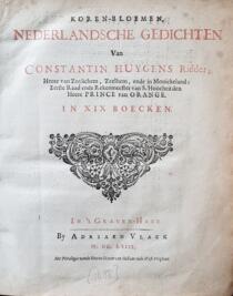 Korenbloemen 1658Y