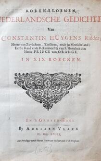 Korenbloemen 1658Y