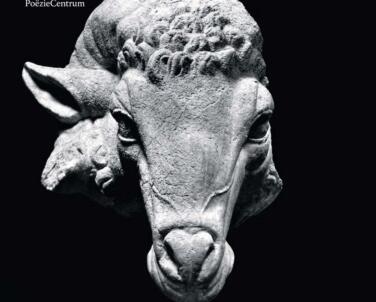 2Eacfc4D 013B 4Dfe 824E A332752445Db