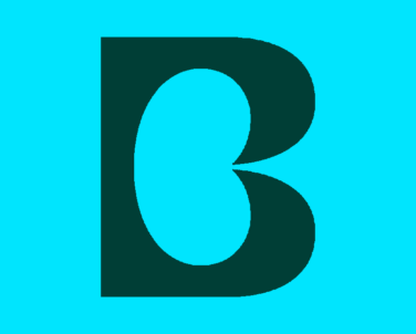 B Boon Donker Op Licht Meer Achtergrond