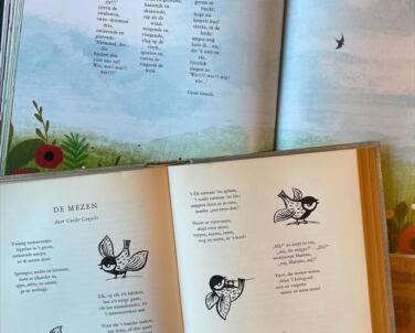 Mezen En Gierzwaluwen Binnenwerk