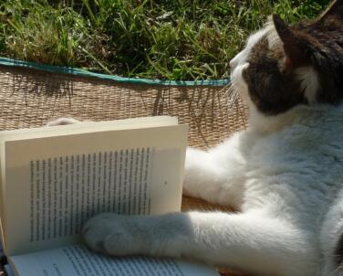 Canonboek Op Komst 2