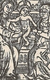 Bijns Cover