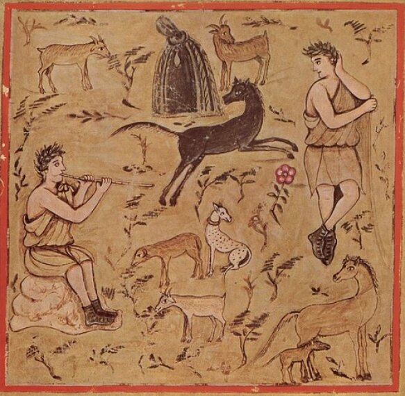 44 Boerenbedrijf 583 570 S C1 C C 0 0 1
