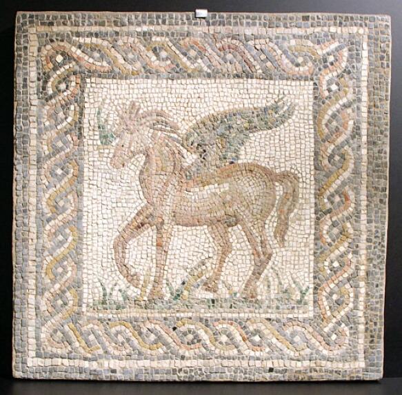 44 Pegasus 583 573 S C1 C C 0 0 1