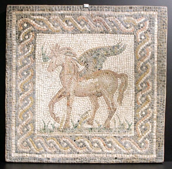 44 Pegasus 583 573 S C1 C C 0 0 1